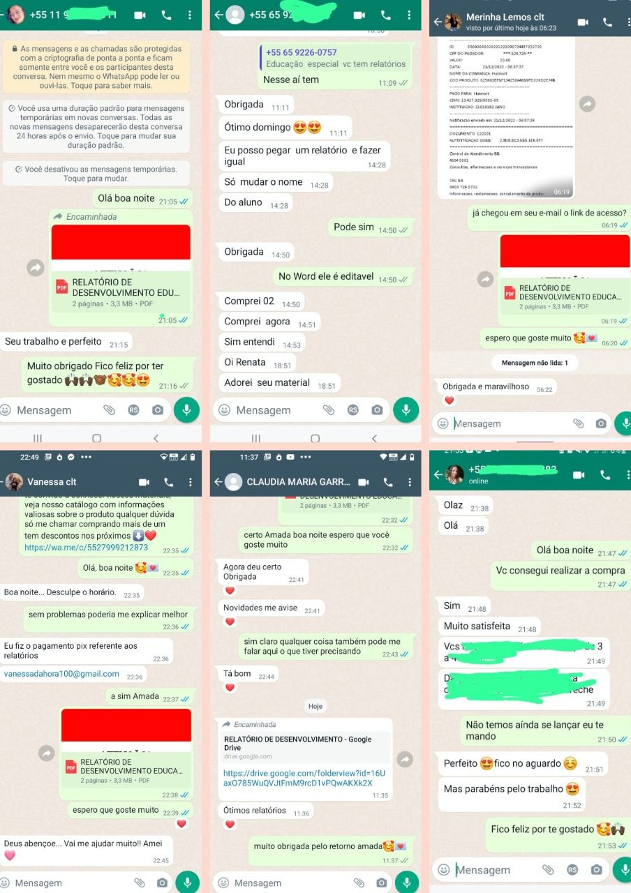 RELATÓRIO DE DESENVOLVIMENTO- EDUCAÇÃO INFANTIL E ESPECIAL | ATUALIZADO 2026 - Imagem 12