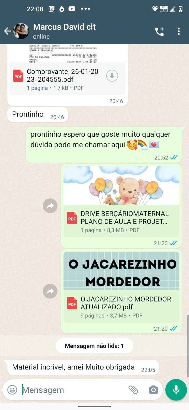 PLANO DE AULA+PROJETO - ADAPTAÇÃO: CARINHO, COLINHO E MUITA DIVERSÃO BERÇÁRIO/MATERNAL - Imagem 4