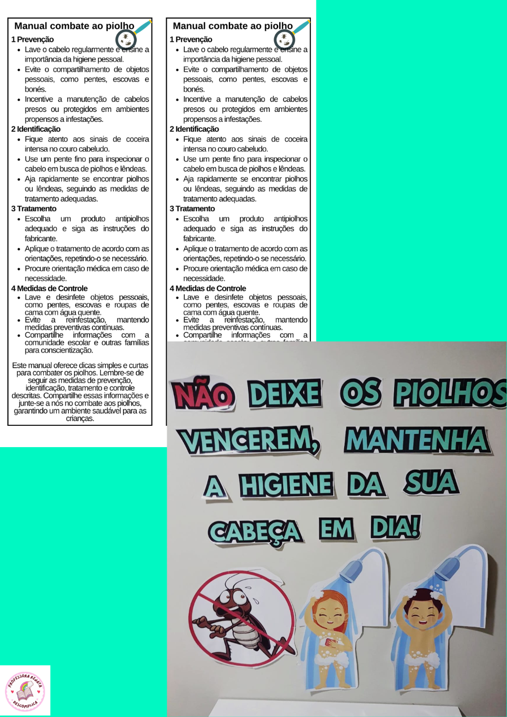 PAINEL+ MANUAL COMBATE AOS PIOLHOS - Imagem 3