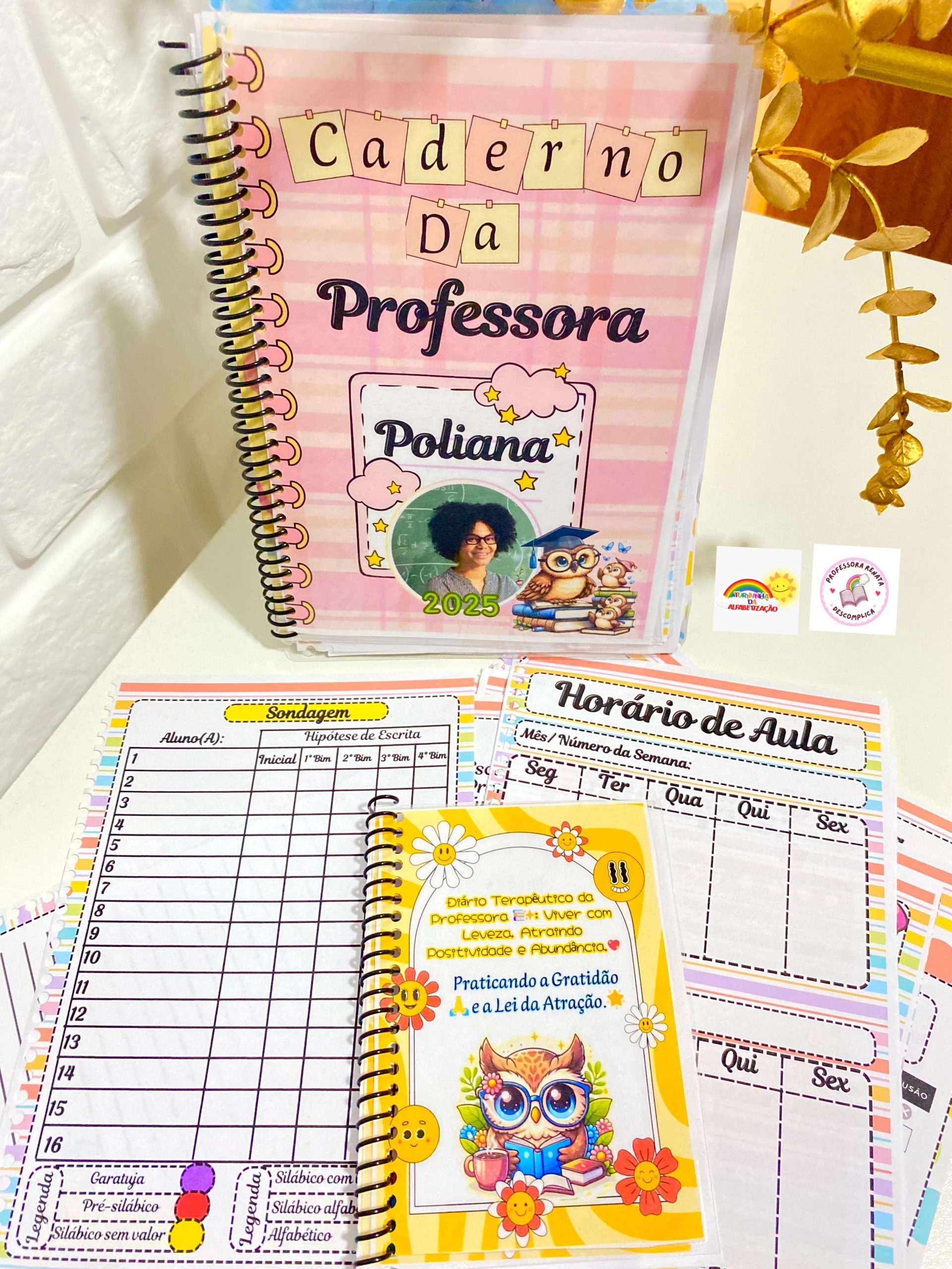 Caderno da Professora 2026 + Sondagem Diagnóstica - Imagem 19