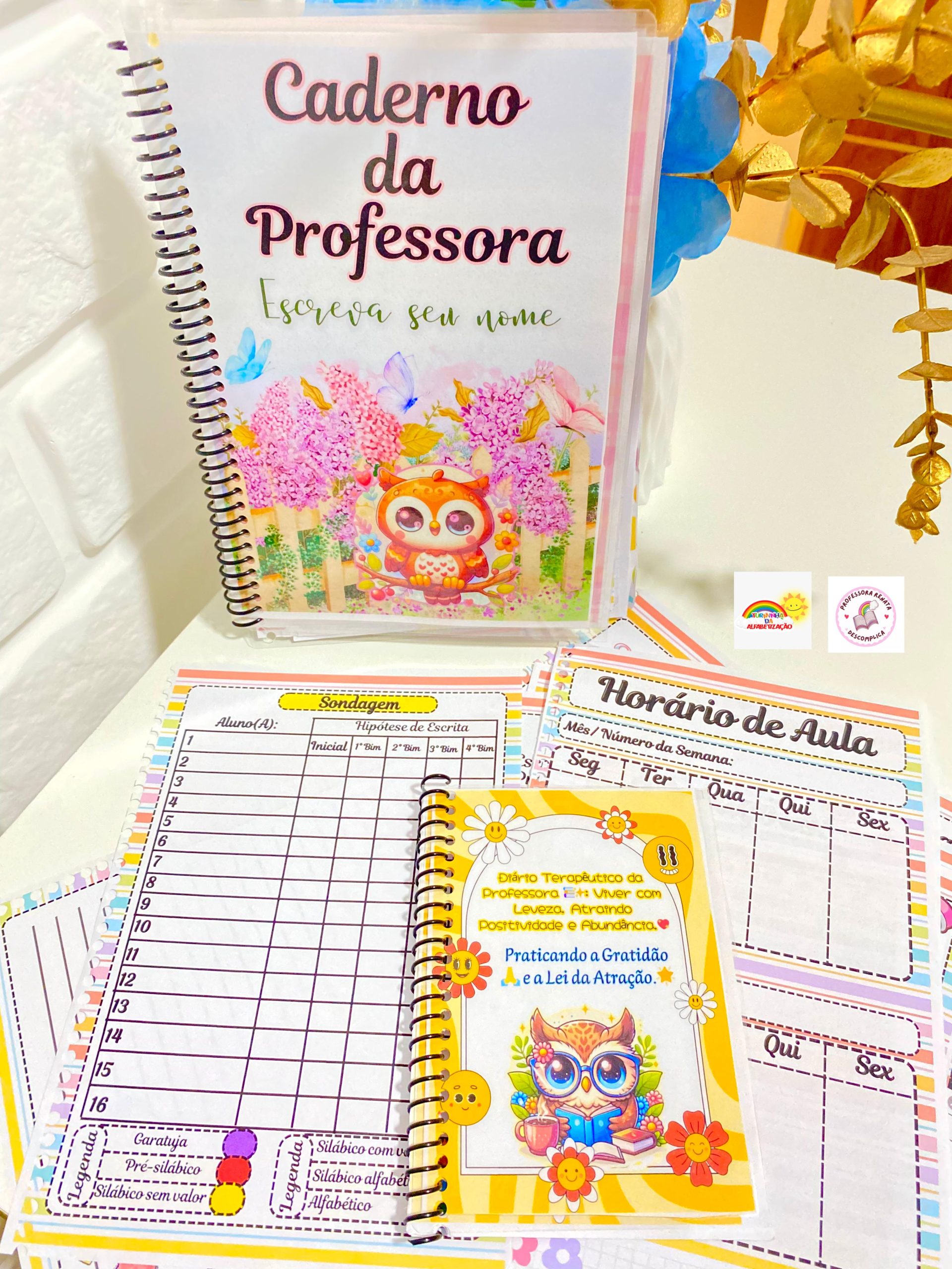 Caderno da Professora 2026 + Sondagem Diagnóstica - Imagem 18