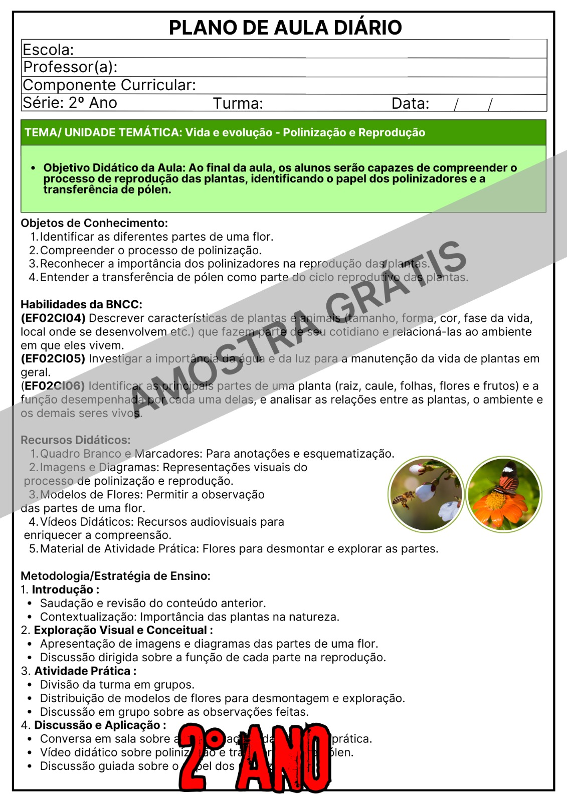PLANOS DE AULA DIÁRIOS ANUAL 2026 - EDUCAÇÃO INFANTIL E ENSINO FUNDAMENTAL (1º ao 5º Ano) - Imagem 5